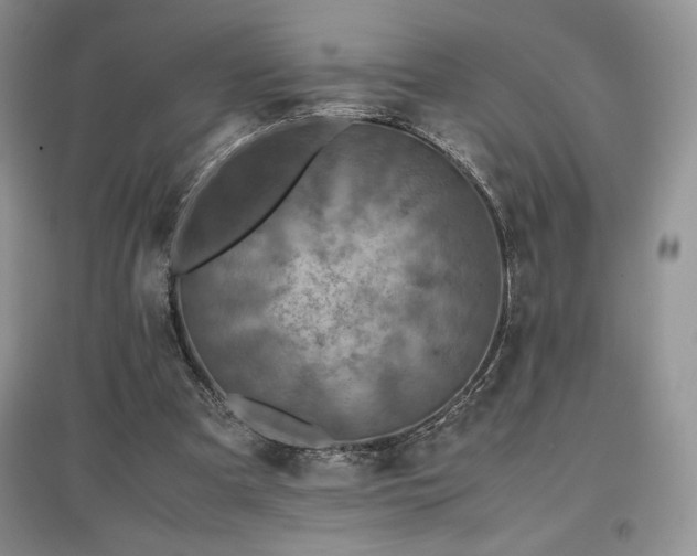 X0000097600297200803071435