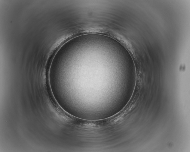X0000097600298200803071435