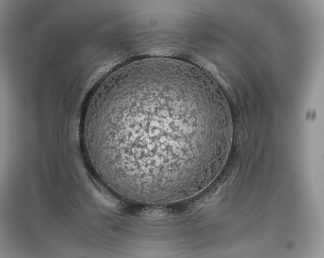 X0000097600299200803071435
