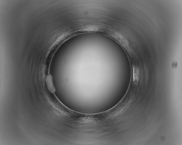 X0000097600300200803071435