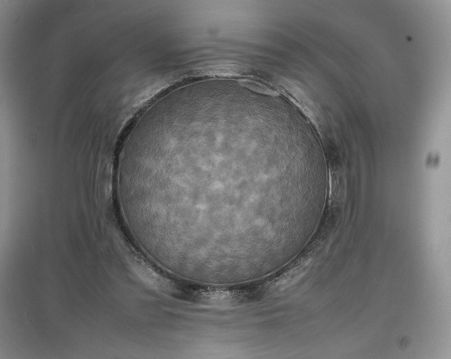 X0000097600301200803071435