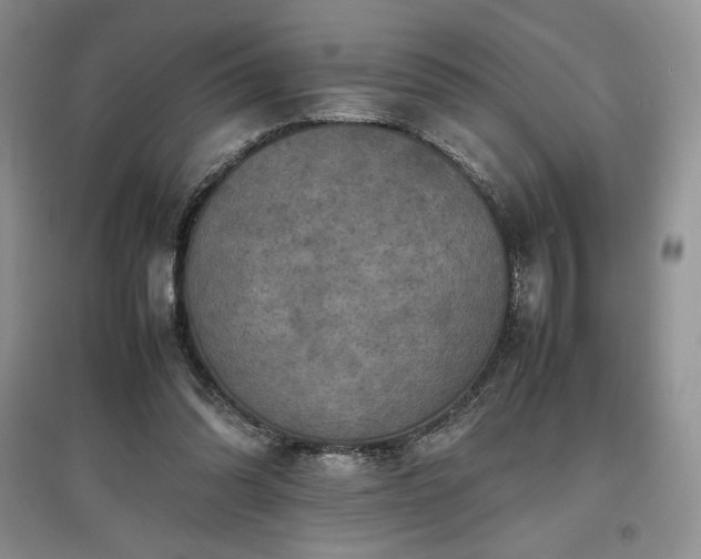 X0000097600302200803071435