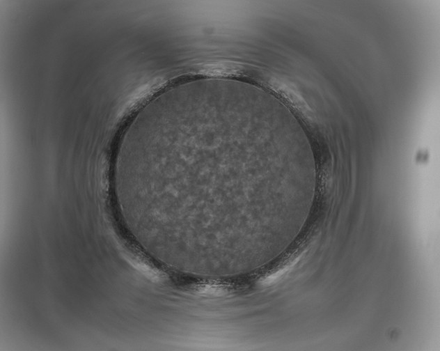X0000097600303200803071435