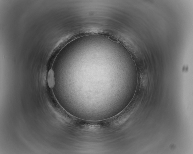X0000097600304200803071435