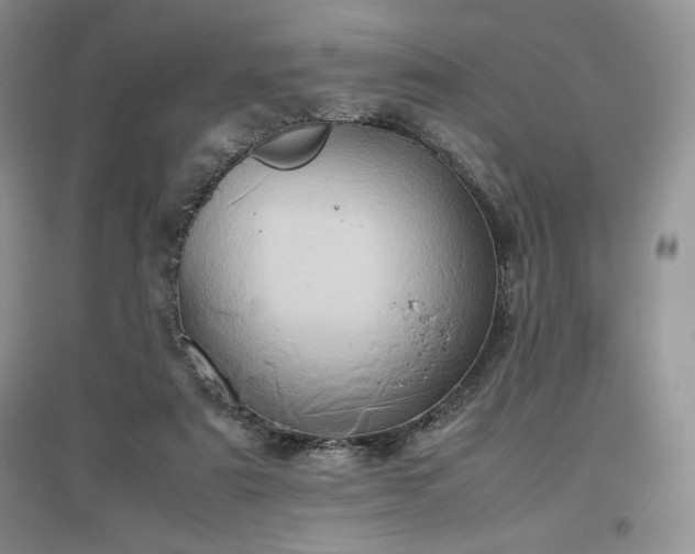 X0000097600307200803071435
