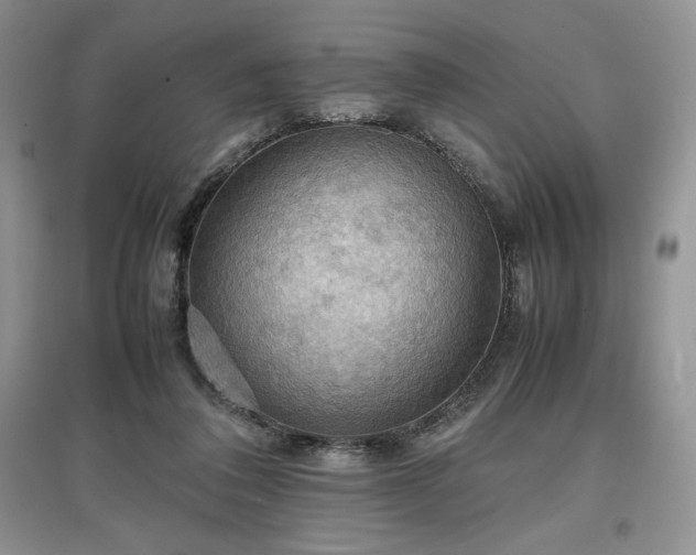 X0000097600308200803071435
