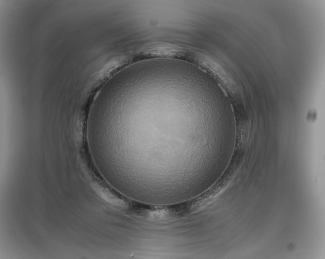 X0000097600309200803071435