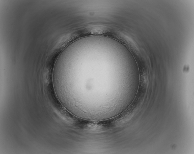 X0000097600311200803071434