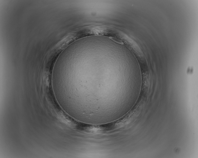 X0000097600313200803071434