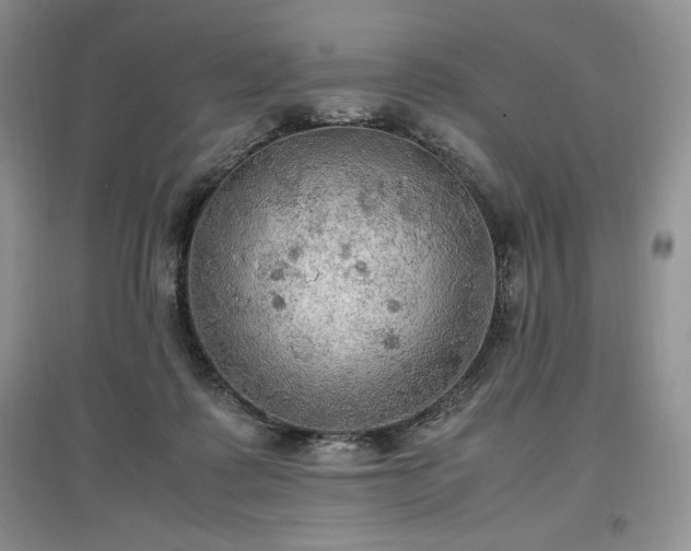 X0000097600315200803071434