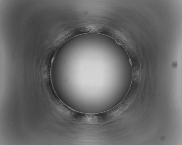 X0000097600317200803071434