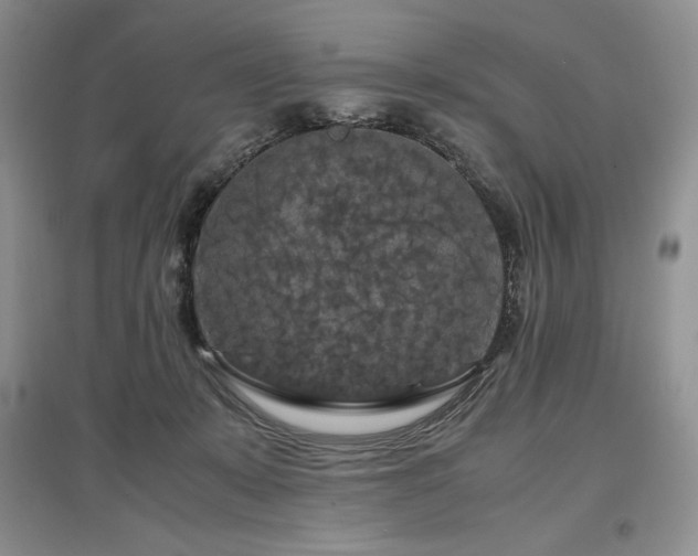 X0000097600319200803071434