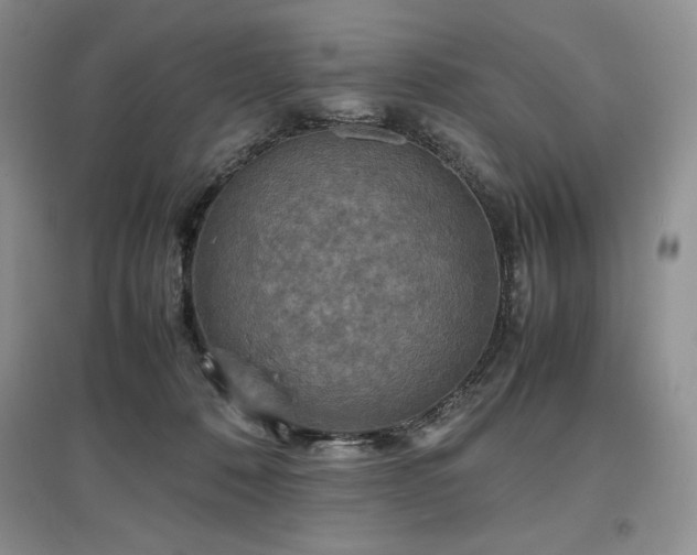 X0000097600320200803071434