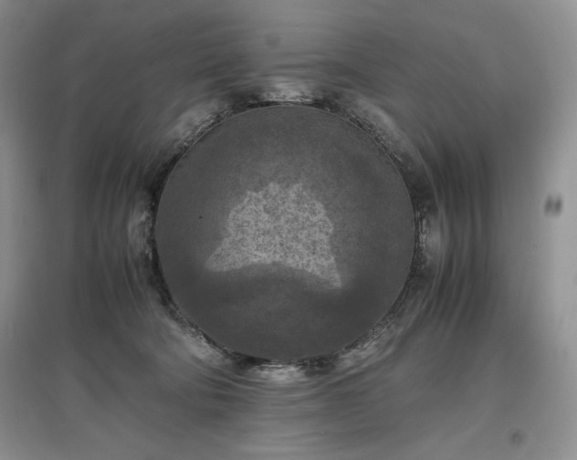 X0000097600322200803071434