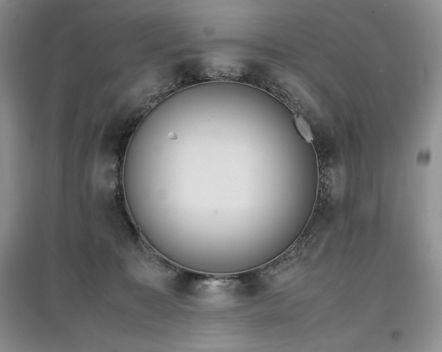 X0000097600323200803071434