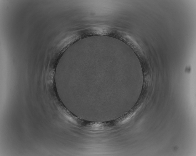 X0000097600325200803071434