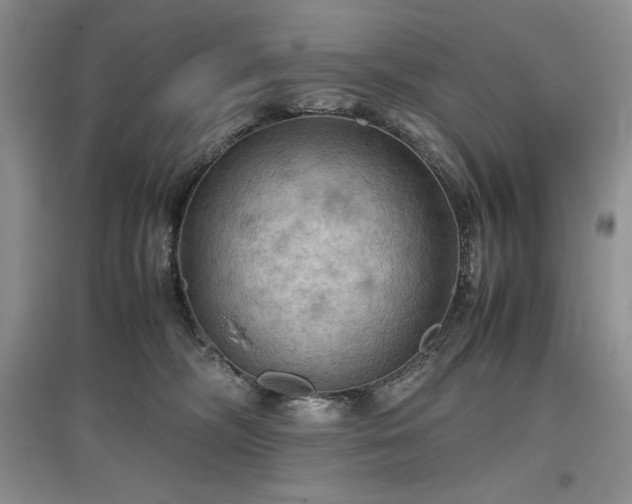 X0000097600326200803071434