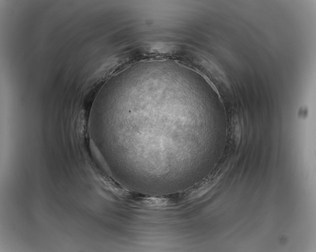 X0000097600328200803071434