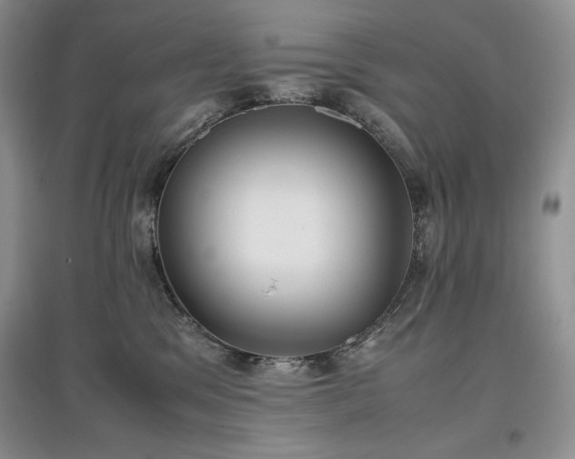 X0000097600329200803071434