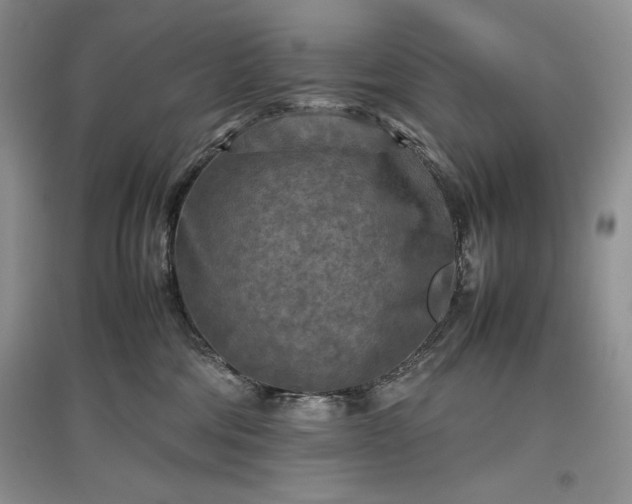 X0000097600330200803071434