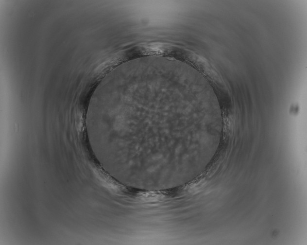 X0000097600331200803071434