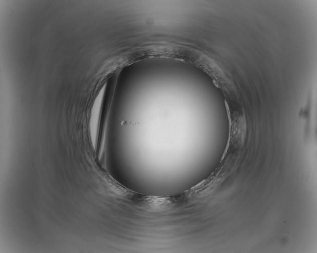 X0000097600333200803071434