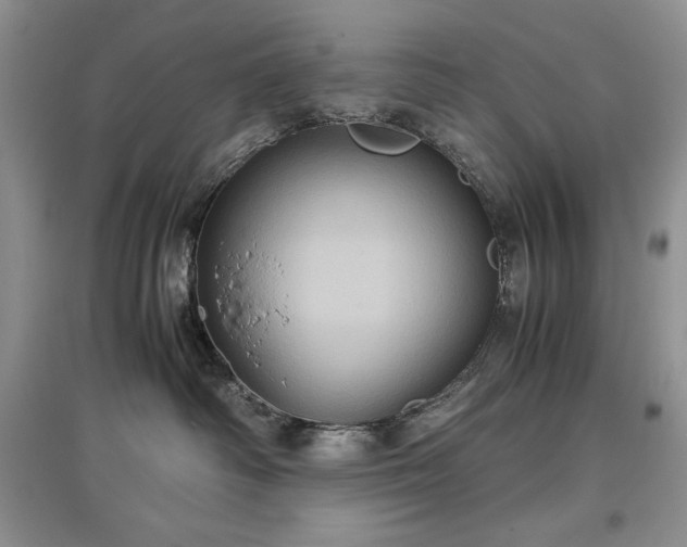 X0000097600334200803071434