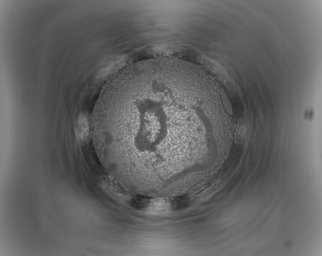 X0000097600335200803071434