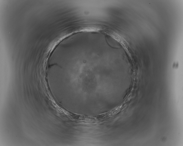 X0000097600337200803071434