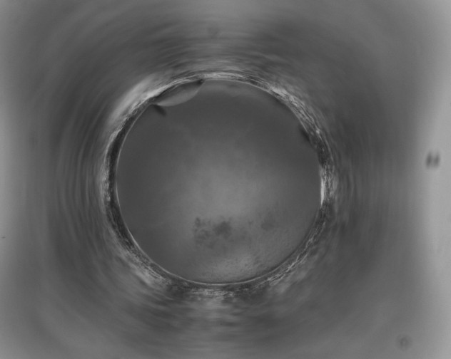 X0000097600339200803071434