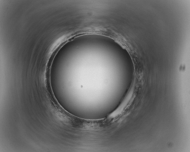 X0000097600340200803071434