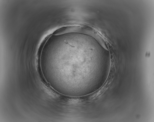 X0000097600342200803071434