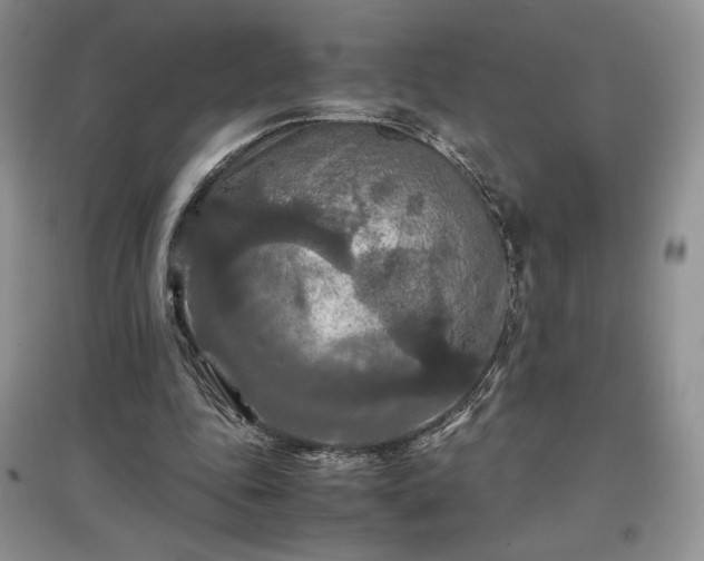 X0000097600343200803071434