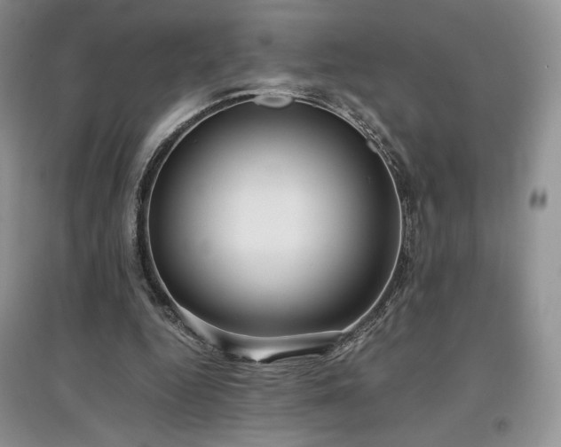 X0000097600344200803071434