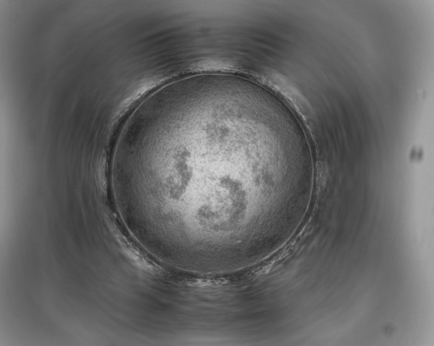 X0000097600345200803071434