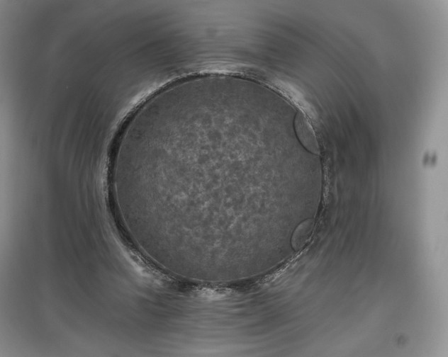 X0000097600346200803071434