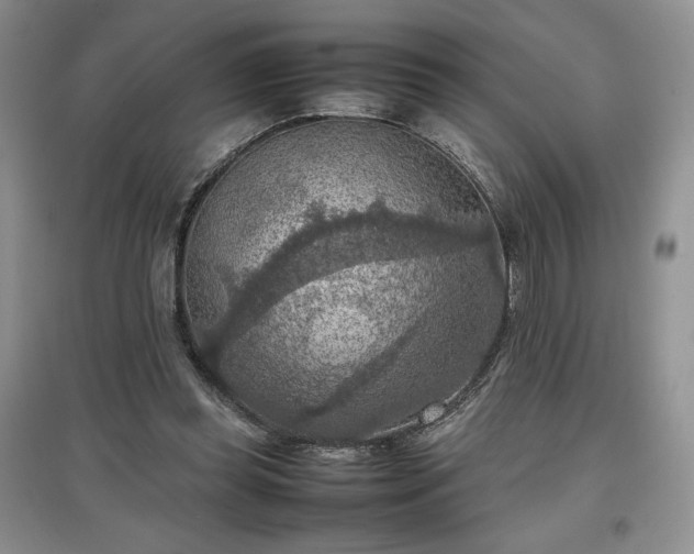 X0000097600349200803071434