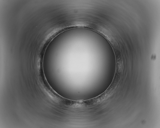 X0000097600350200803071434