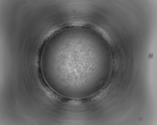 X0000097600354200803071434