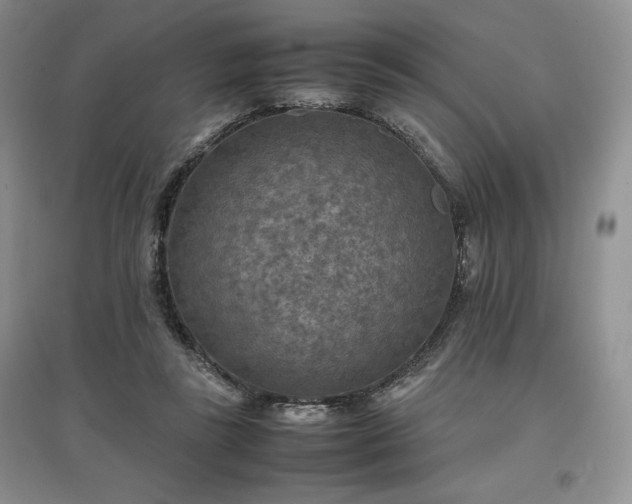 X0000097600355200803071434