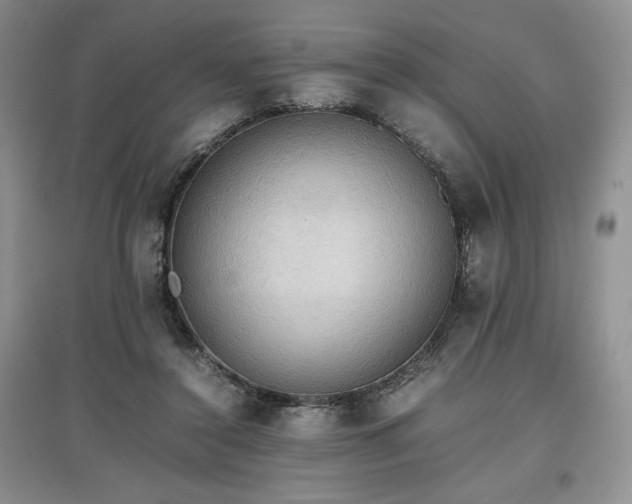X0000097600356200803071434