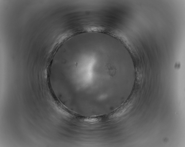 X0000097600357200803071434