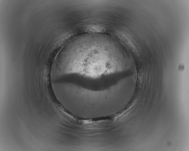 X0000097600359200803071434