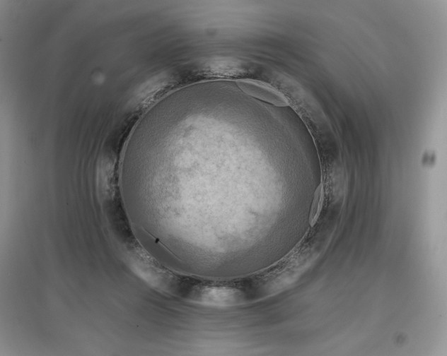 X0000097600360200803071434