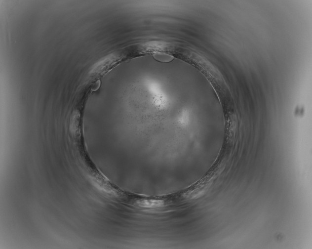 X0000097600361200803071434