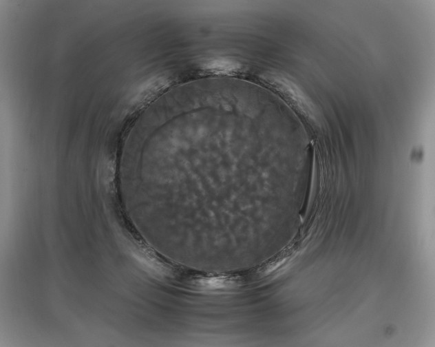 X0000097600365200803071434