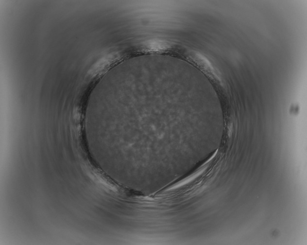 X0000097600366200803071434