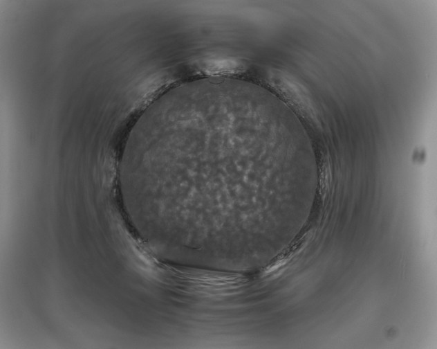 X0000097600367200803071434