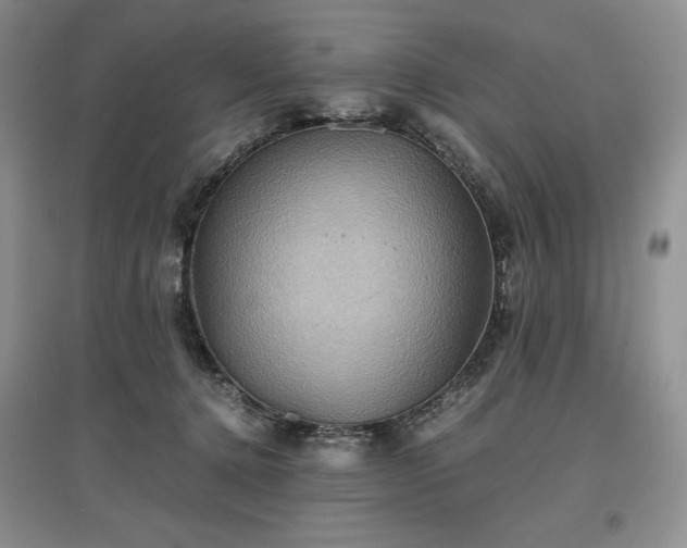 X0000097600368200803071434