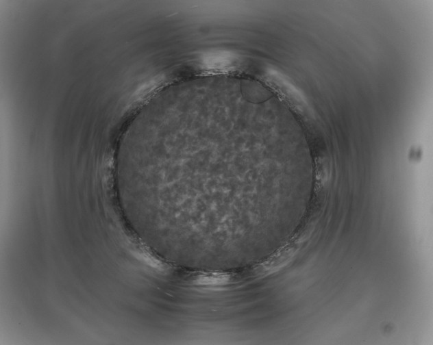 X0000097600369200803071434